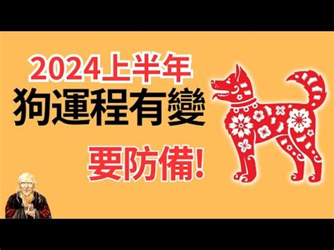 1982屬狗2023運勢顏色|【1982年生肖】1982年生肖狗完整解析！2023年運勢、桃花、工。